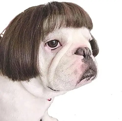 Funny Dog Cat Cosplay Wig,Pet Wigs for Halloween, Christmas, Parties, Festivals, Dog Wigs for Small Medium and Large Dogs