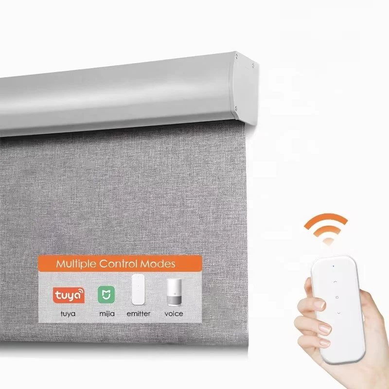 Smart control Electric Tubular Roller Blinds Motor of Alexa Motorized Zebra blinds