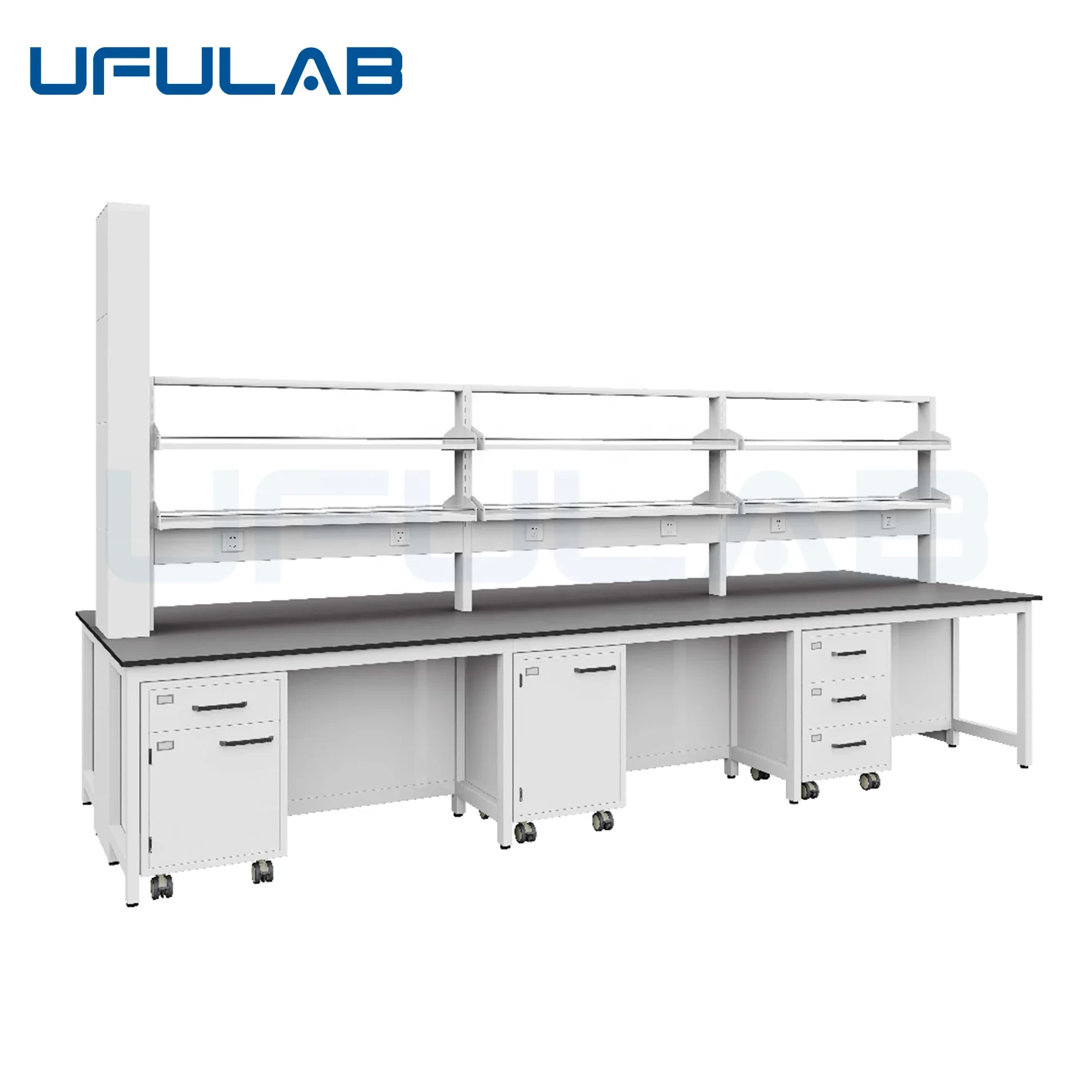 Lab Supplier Chemistry Laboratory Equipment Work Benchs with Reagent Shelf and  Storage Cabinet