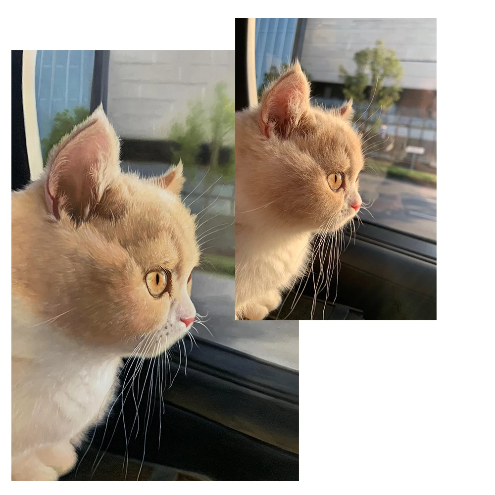 custom pet portrait oil painting Handmade gift Wall Art drop shipping people portrait