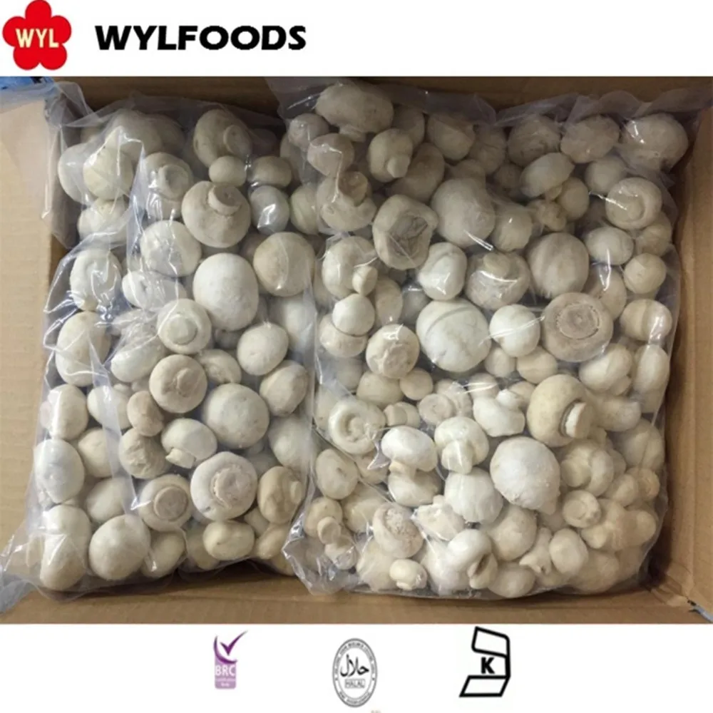 Shelf-Stable frozen Champignons cultivated mushrooms price