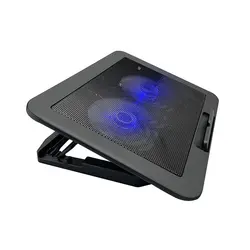 Hot selling OEM Ultra-quiet PC Laptop Cooler Cooling Pad With 2 Cooling Fans and 2 port USB HUB, NCP-212