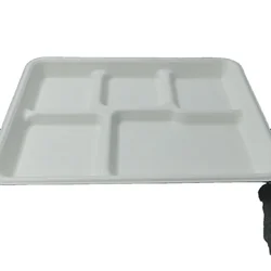 Biodegradable dinnerware sets compostable Disposable Sugarcane Bagasse 5 compartment food tray for lunch