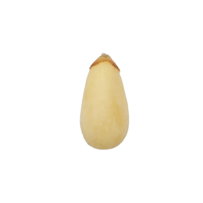 wild red pinenuts kernels without shell cedar pinenuts kernels