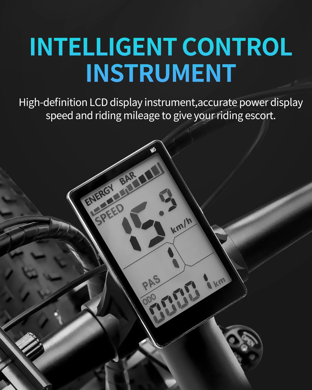 Ridstar E26 26 Inch 15Ah 1000Watt 21 Speed Bicycle Free Shipping Rechargeable Lithium Battery Electric Bike For Old Man