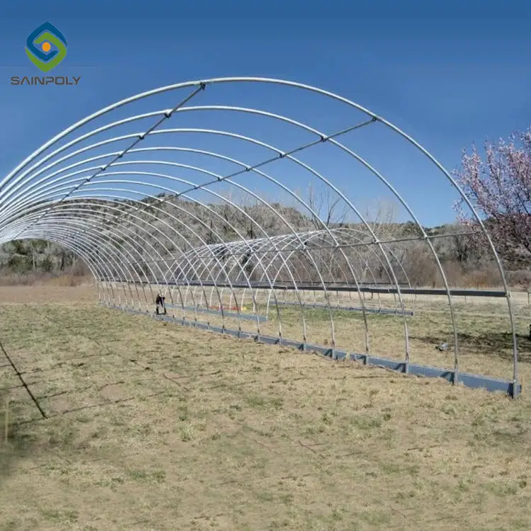 Large Size High Tunnel Agricultural Greenhouse for Tomato growing Green House