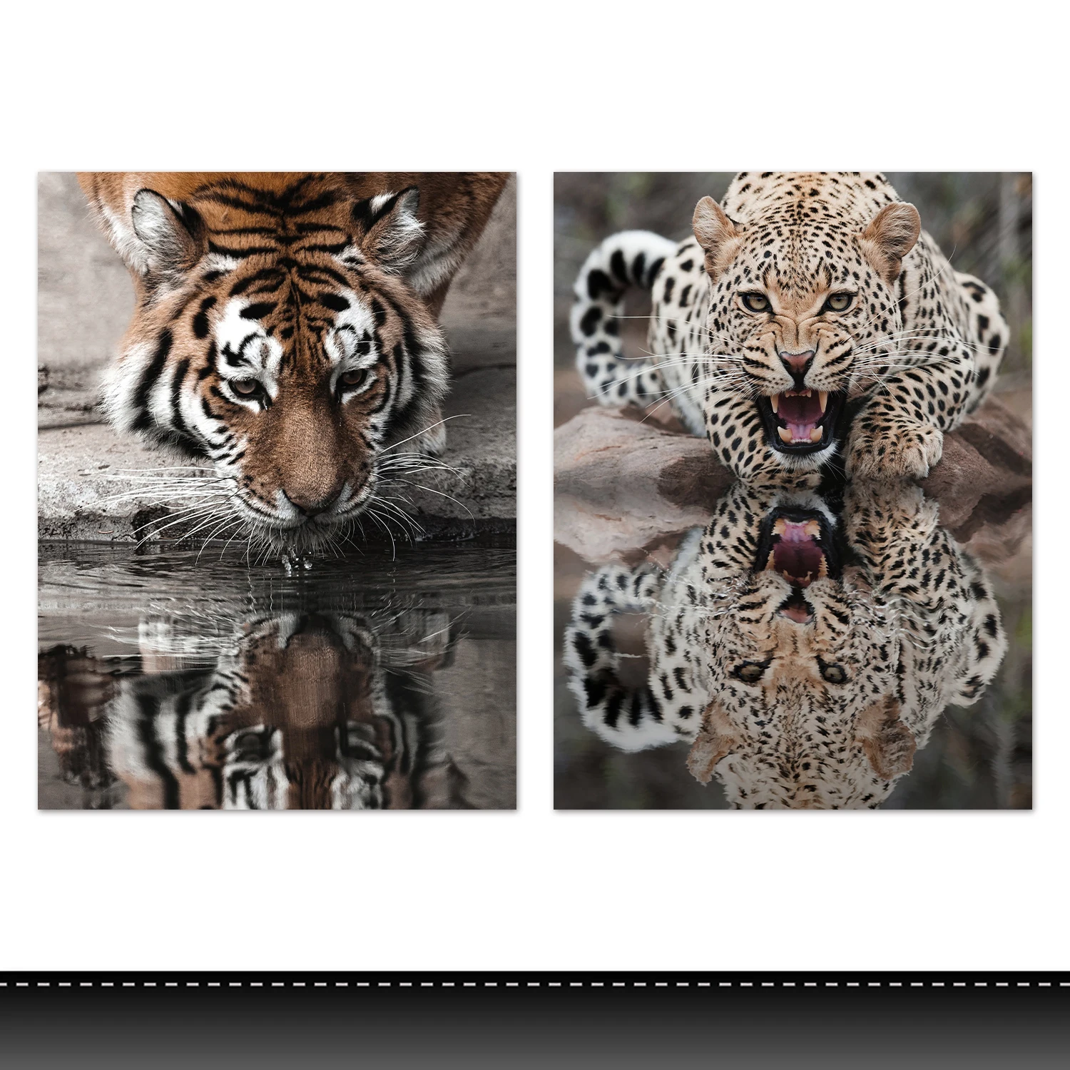 Modern Wild Animals  With Frame Canvas Picture Decorative  Painting