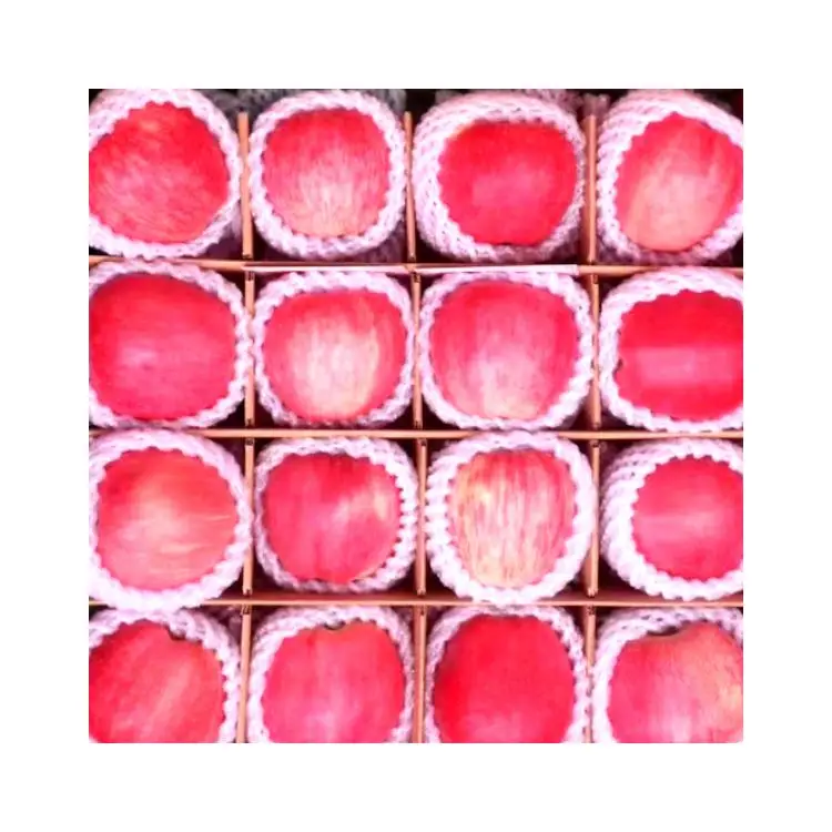 Fully stocked apples fresh apple fruit fresh red fuji apples