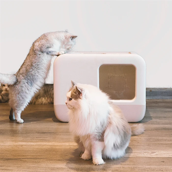 Pet Cleaning Tools Top Entry Toilet Cat Litter Box With Cat Litter Scoop Inside