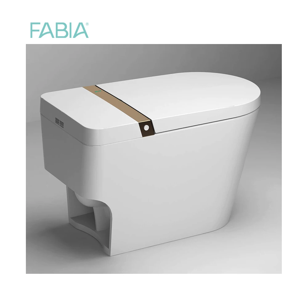 Fabia Tankless Electric Bowl Toilet Floor Mounted Water Closet Intelligent Smart High Quality Toilet, toilet smart intelligent