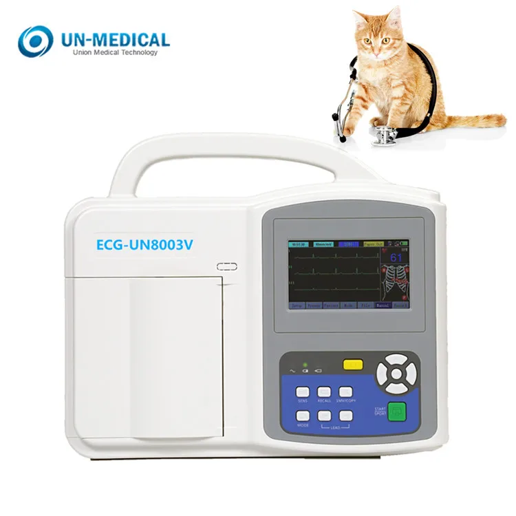 Un8006V Buy Hospital Equipment Hot Sale Cheap Medical ECG Machine 12 Lead Veterinary