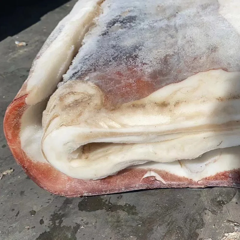 NEW ARRIVAL DONGSHEN FOR Vietnam   MARKET 100% net weight BQF Frozen  PERU squid fillet Skin on  GIANT GIGAS squid  Fillet