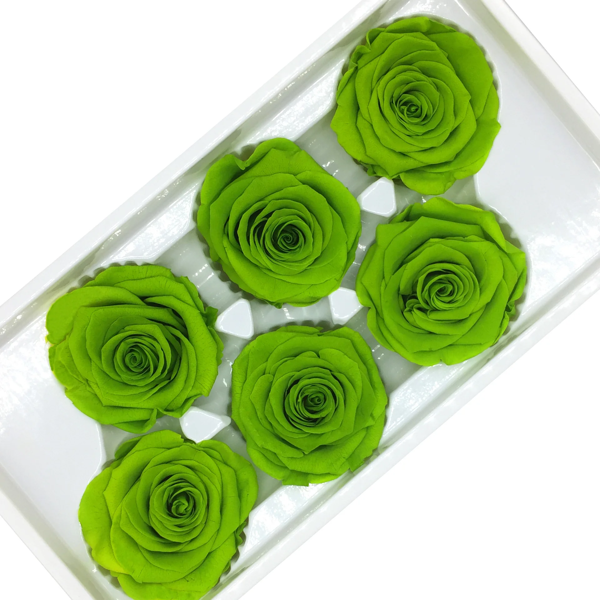 Sale Eternal Roses Bud Flower with 5-6cm Everlasting Preserved Dried Rose Buds for Gifts