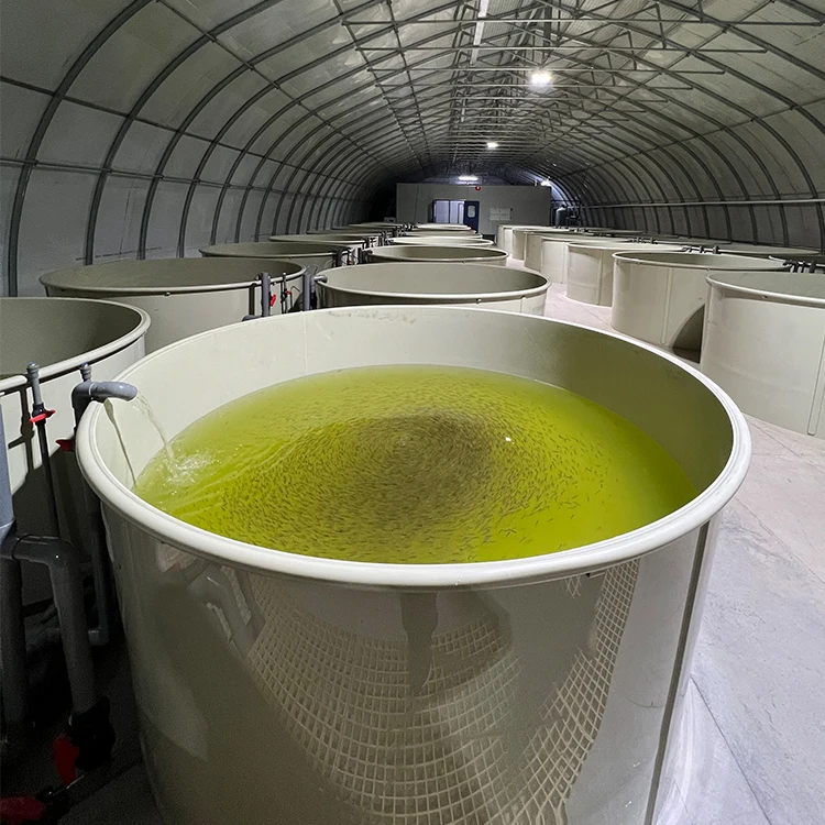 8000 Liter Diameter 3m x Height 1.2m Tank Fish Farming RAS Fish Tank