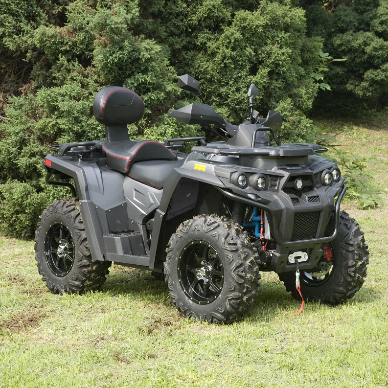 Горячий стиль 800cc 4 wheeler способный преодолевать Броды для