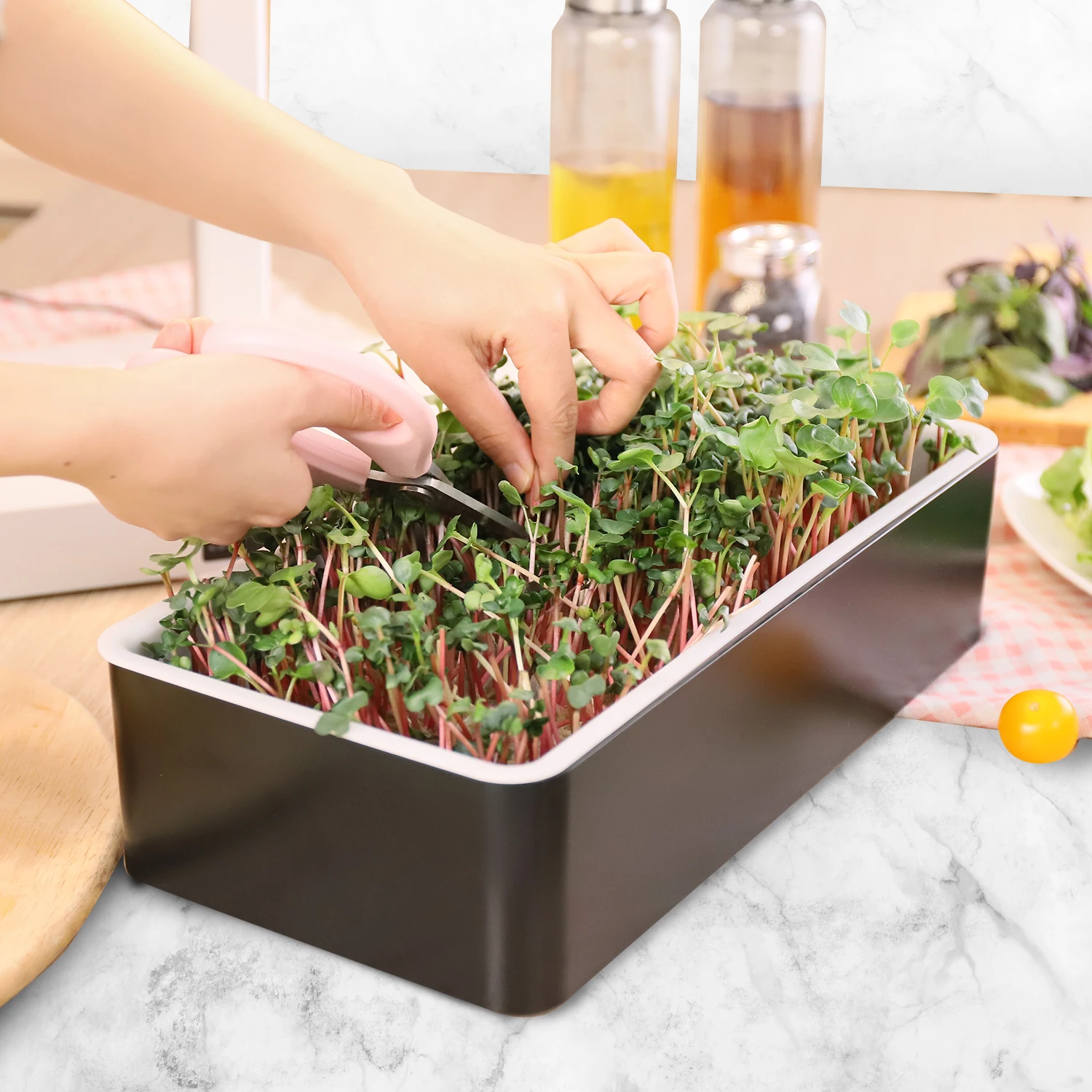 Набор для выращивания растений Microgreens, гидропонный лоток, садовый набор для прорастания растений, гидропонный мини-горшок для выращивания растений hidropnico
