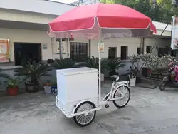 108L solar freezer tricycle for ice cream/cold drinks