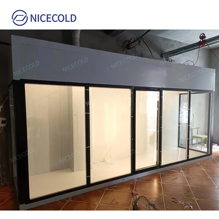 Hot Sale Glass Cold Room Display Walk In Cooler for Flower Florist
