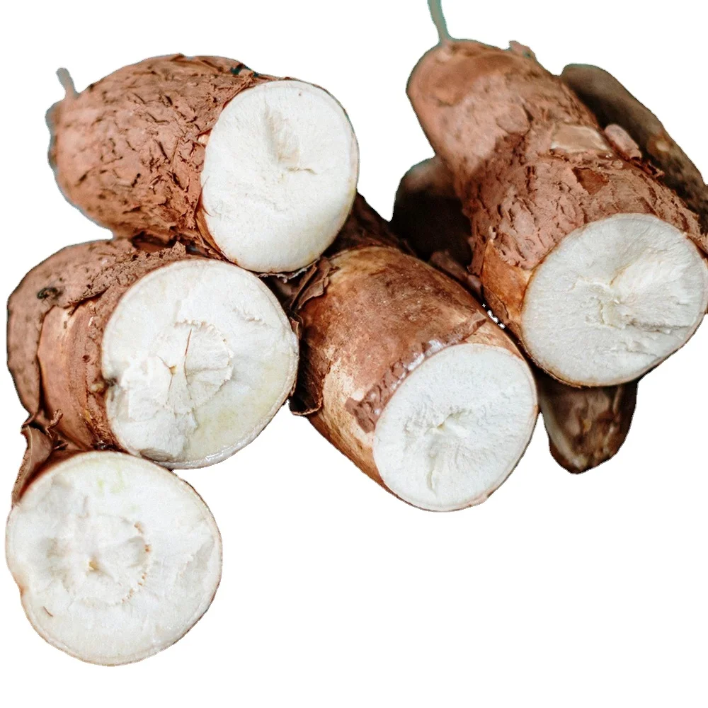 Freshly harvested dried cassava / Raw cassava from Vietnam - Fast logistics and quick response available at the factory
