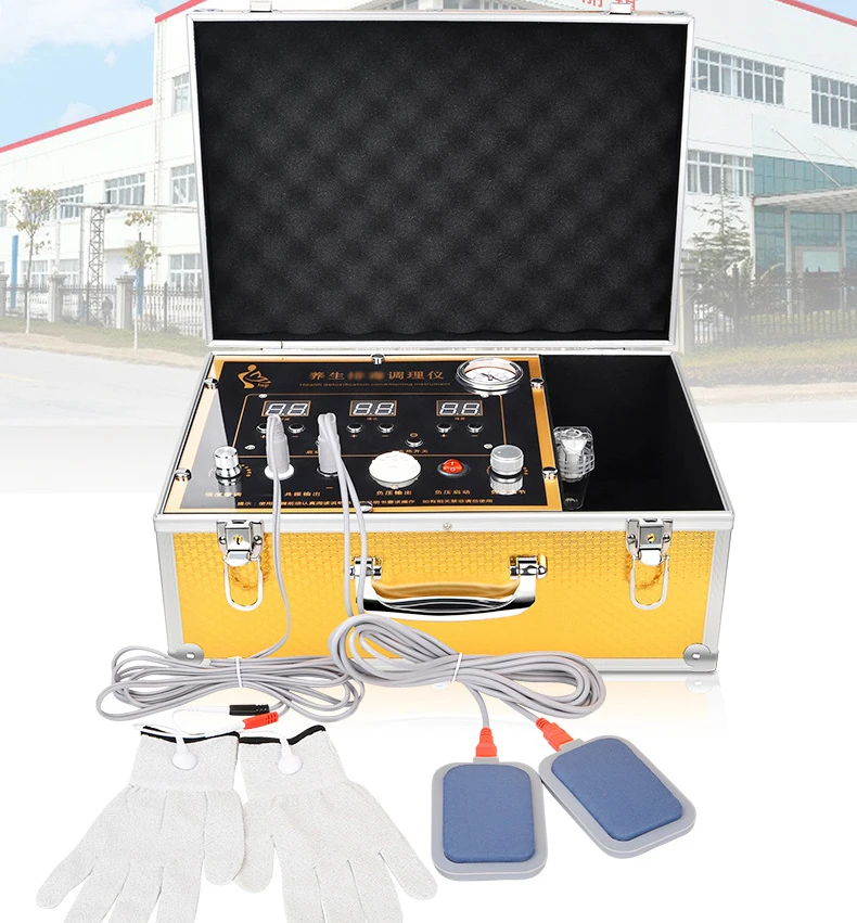 Body Bioelectric Meridian Dredge Pulse Physiotherapy Portable Body Dds Bio Electric Tens Therapy Dds Massager