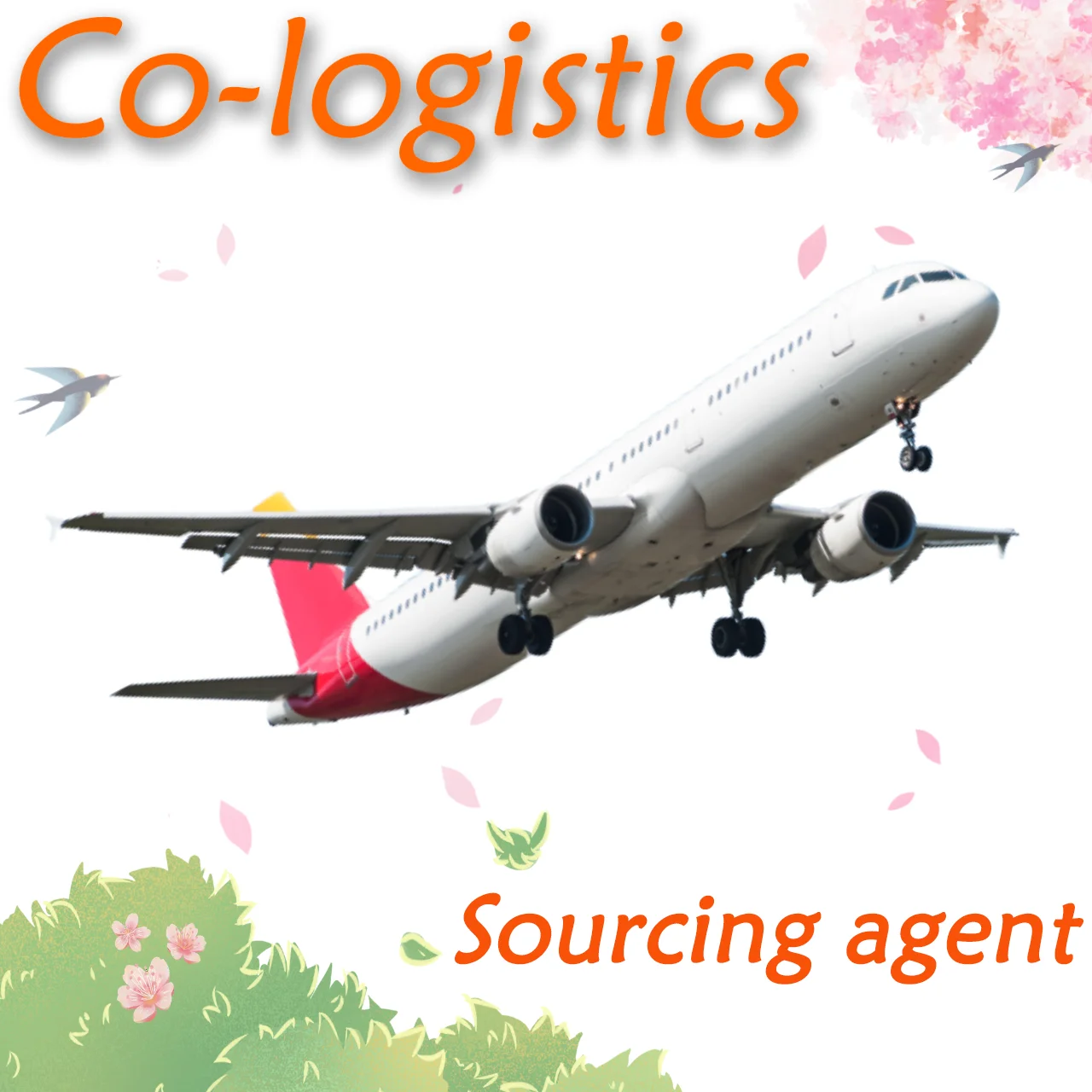 Insurance/ Shipping Air Freight Forwarder Air Company Shipping Carrier Courier Express Depends on All Types Co-logistics