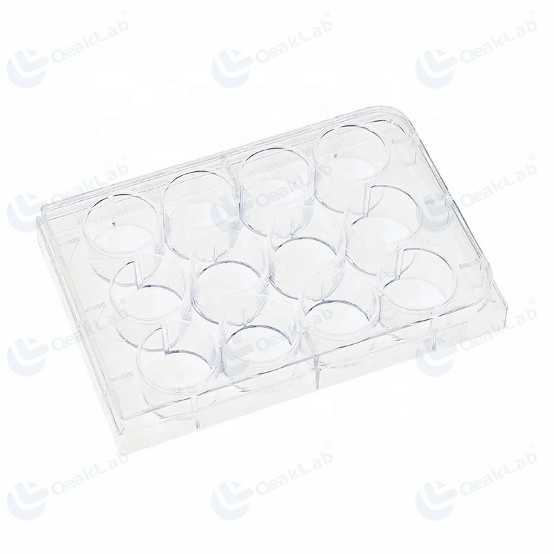 hot sale  good quality clean clear transparent Cell Culture Plate, 384 Well Microplate tissue culture treated