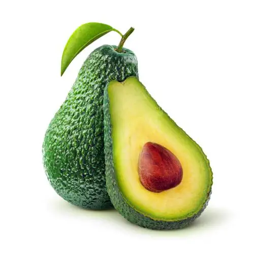 
Best Quality Fresh Mexican Hass Avocado Fruit 