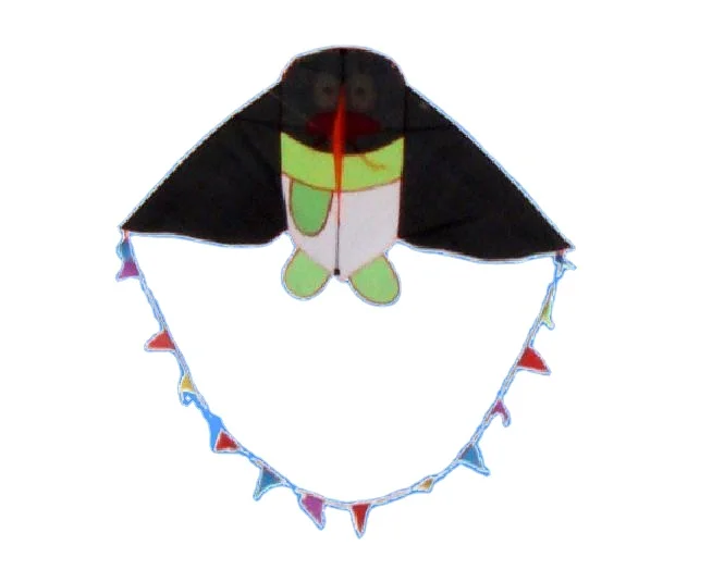 Professional Cartoon Kite Design For Flying