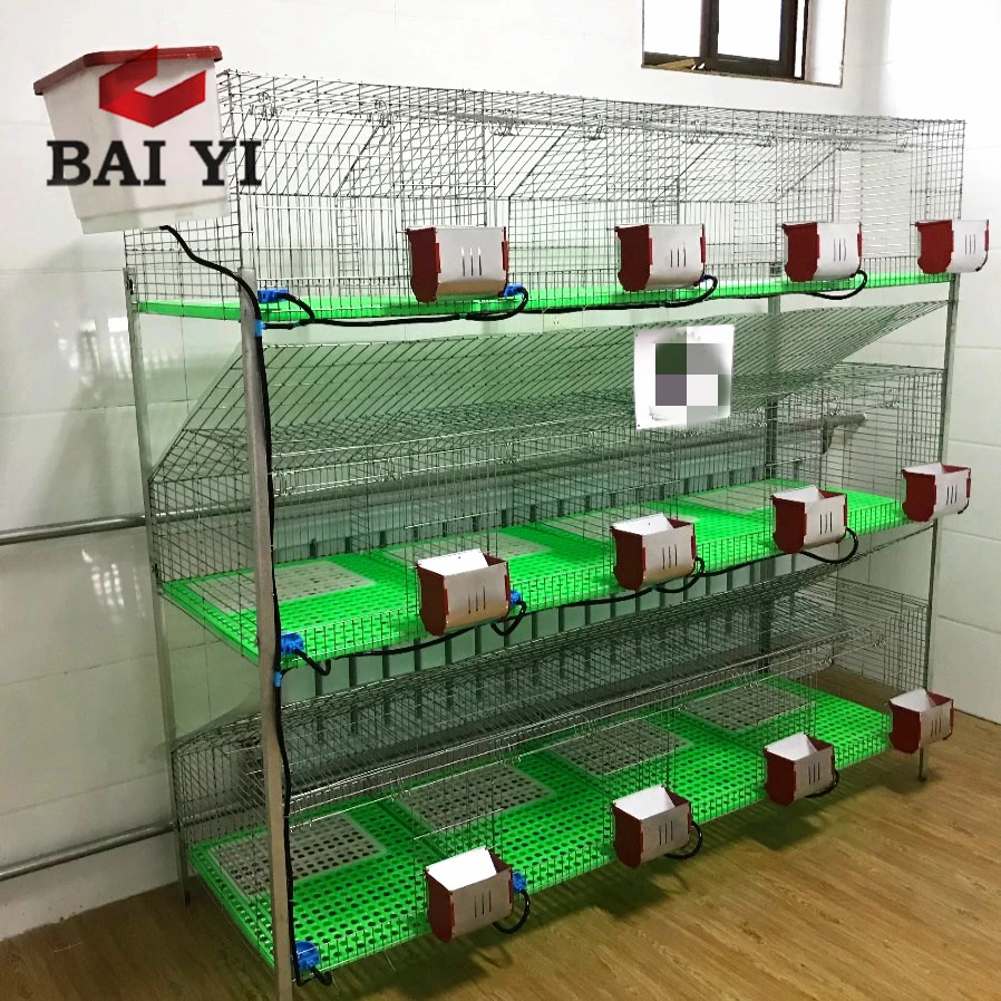 good ideas rabbit breeding cage 12 hole in india and south africa