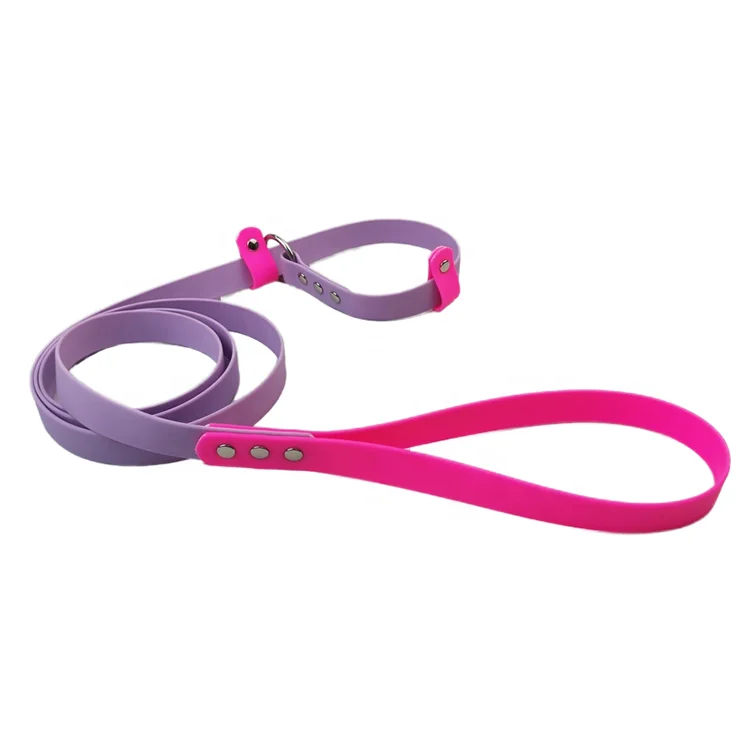Multi-Use Soft PVC Coated Webbing Dog Slip Leash Double Color Fancy Design Collar and Lead in One Solid Pattern Personalized