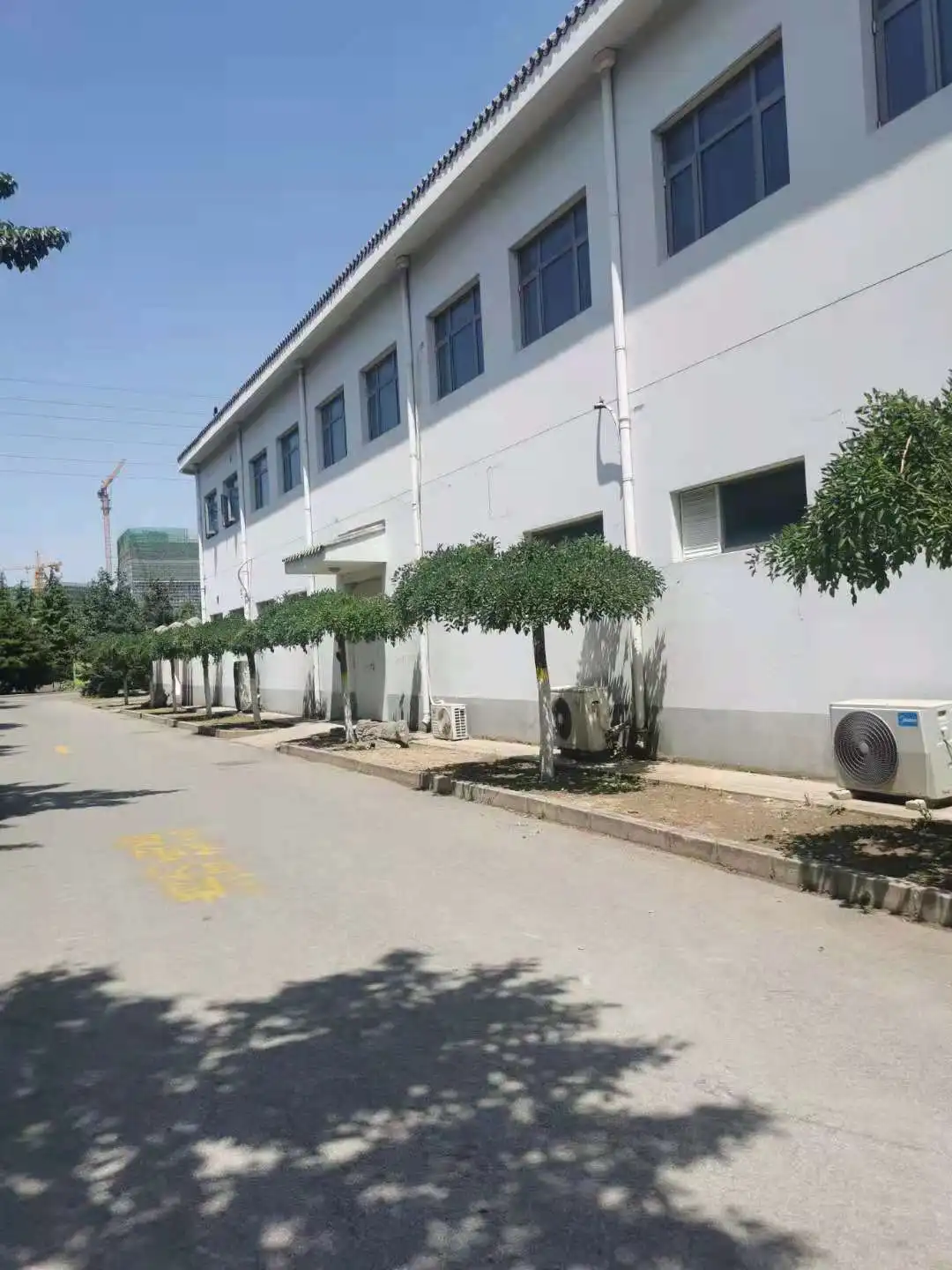 Hot sale veterinary anesthesia machine for animal pre-operation anesthesia