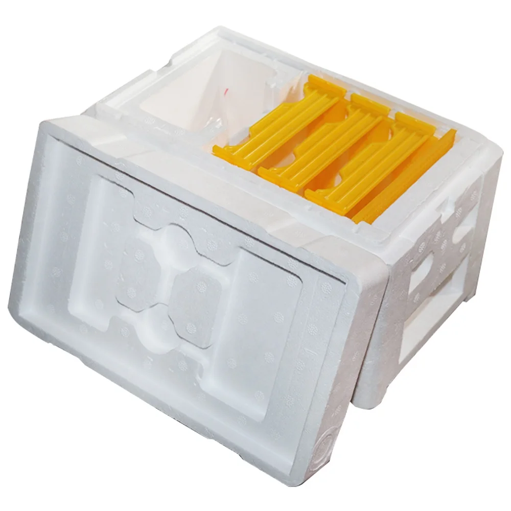 Plastic queen rearing nuc bee box mini queen bee mating box