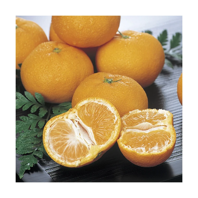 Japanese wholesale bulk price artifical fruit with good quality