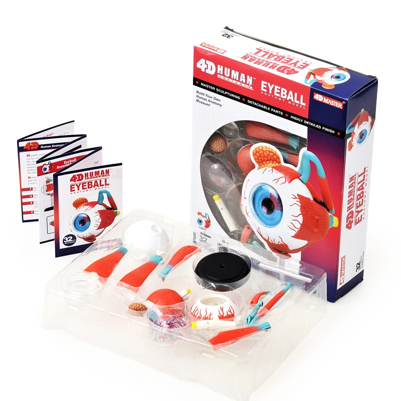 4D MASTER 32 Parts Human Eye Anatomy Model Puzzle Assembling DIY Toys