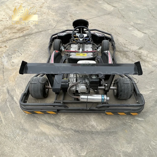 Lonton Indoor Go Kart Electric Adults 2 Person 250cc Racing Go Kart for Sale