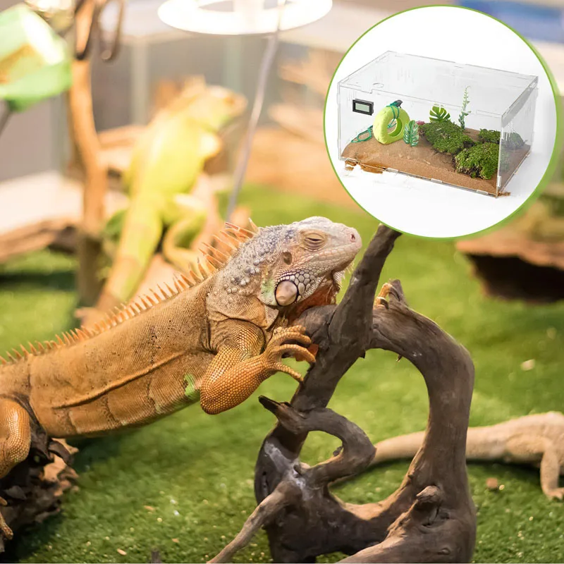 Acrylic Reptile Terrariums Tarantula Enclosure Hermit Crab Tank Cage Jumping Spider Breeding Box with Temperature Hygrometer