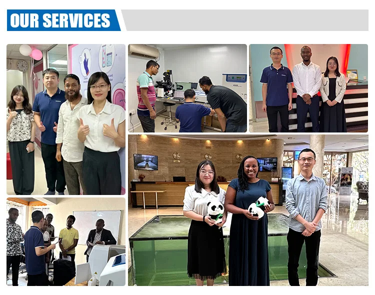 Biobase Nir Spectrophotometer For Laboratory Near Infrared Nir Spectrophotometer Infrared Spectrometer for lab hospital
