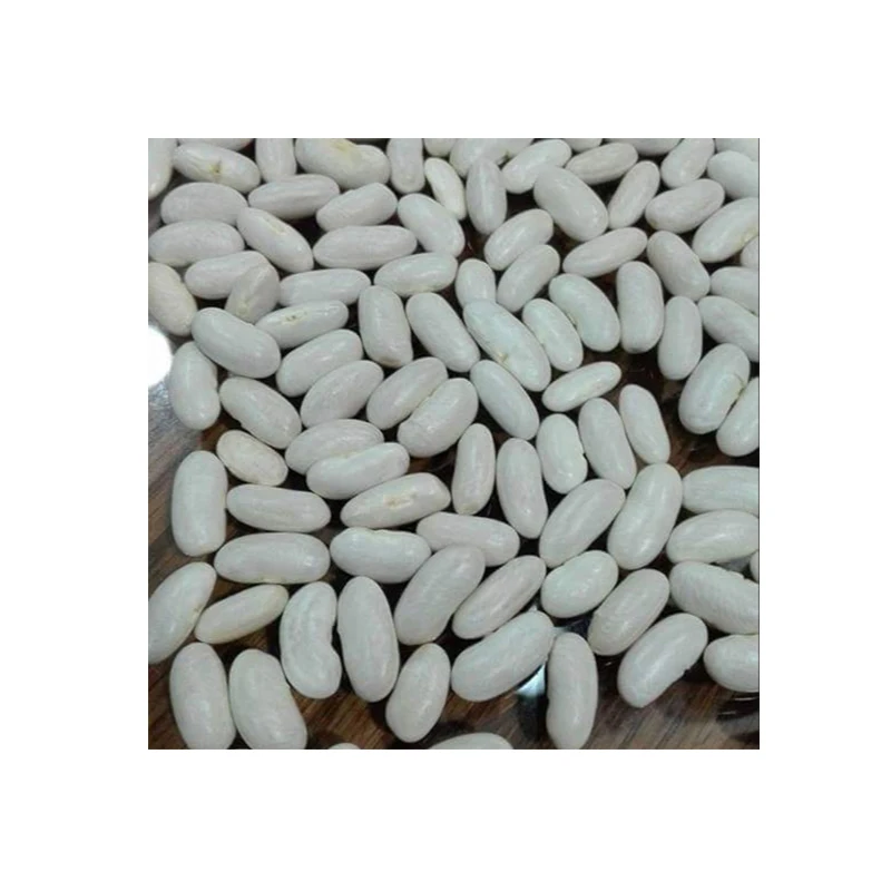 
Egyptian white kidney beans 