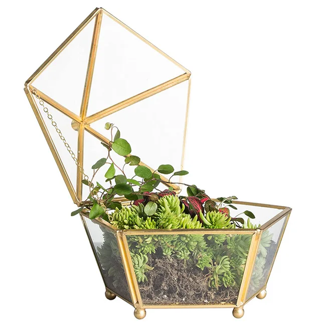 DS Vintage Decorative Jewelry Chest Geometric Terrarium Window Box Storage Display Case Pentagon Shape Clear Glass Small Jewelry