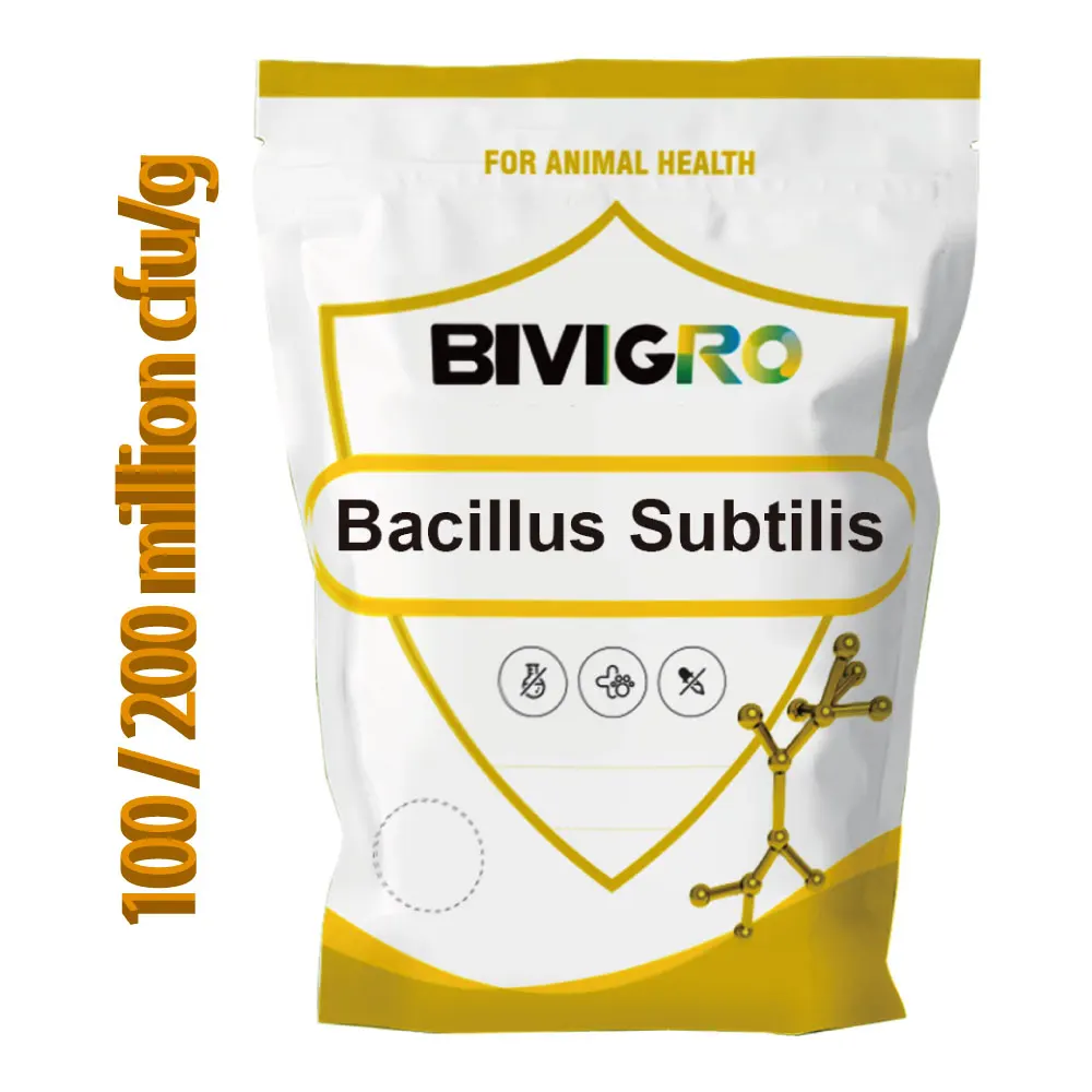 Highly Active Bacillus Subtilis Spores Animal Feed Grade  2x10^10 cfu/g for Poultry Livestock Health