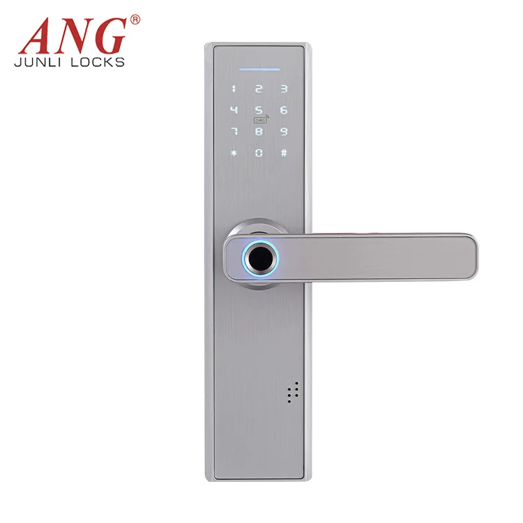Smart Home Anti Theft Tuya App Digital Fingerprint Electronic Hotel Magnetic Card Reader Door Lock