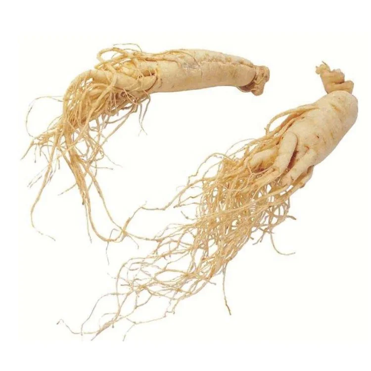 
High quality Chinese herbal medicine korean ginseng root 