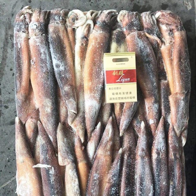 
150-200g seafood illex squid fishing bait wholesale 