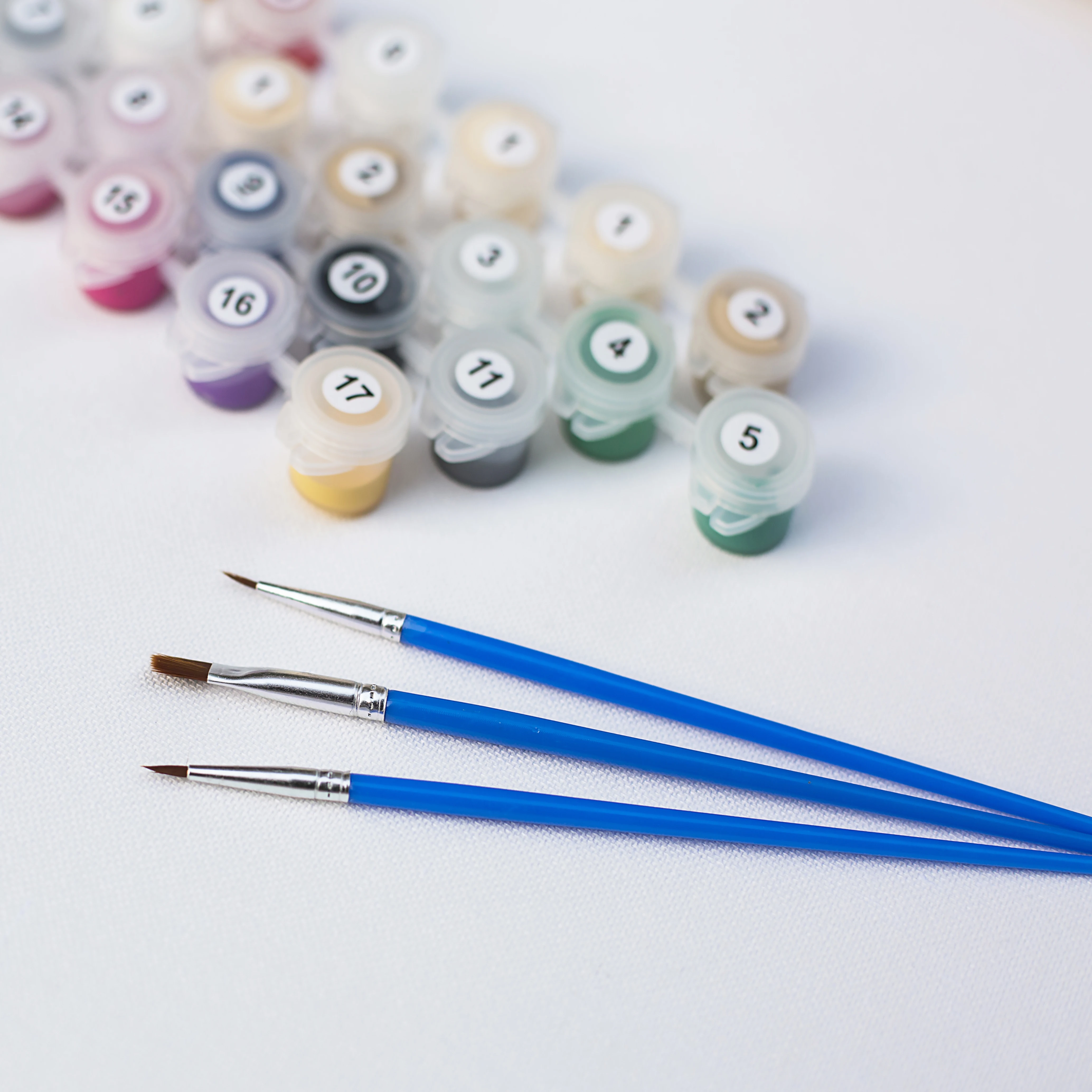 Высококачественная раскраска диких животных по номерам с рамкой, DIY раскраска льва по номерам