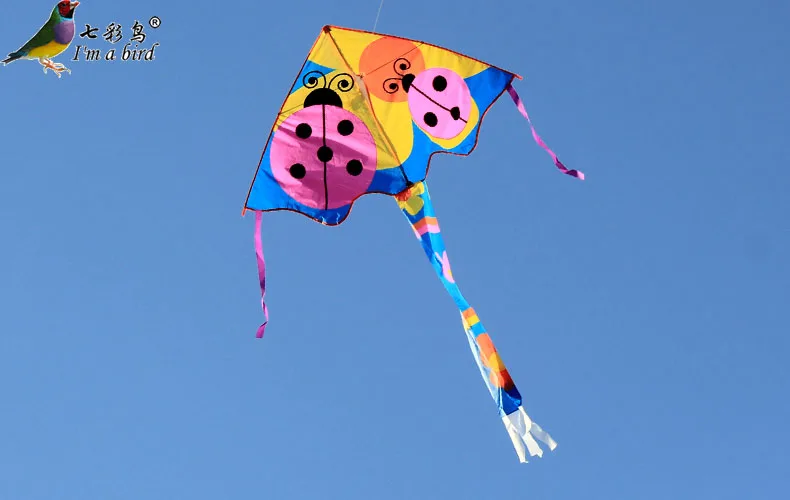 New outdoor penguin ladybug delta Kite for sale