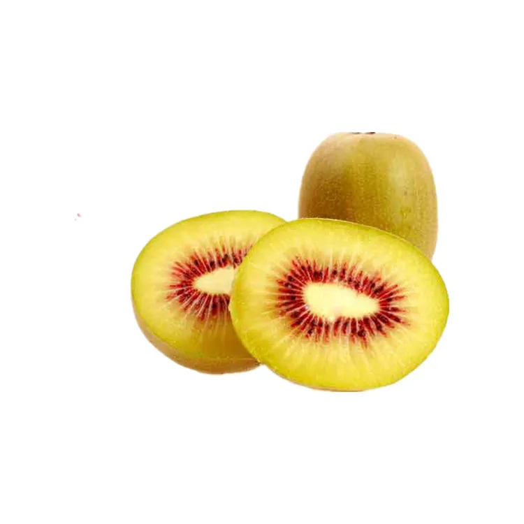 Chinese fresh high quality design ventouse kiwi fruit price