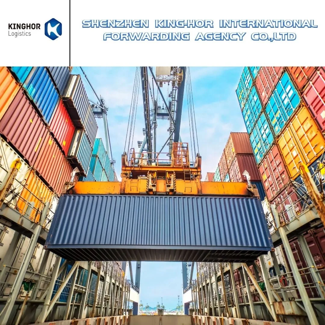 Shipping China Shipping Agent From Shenzhen Drop Shipping Usa Uk DDP Service By Sea