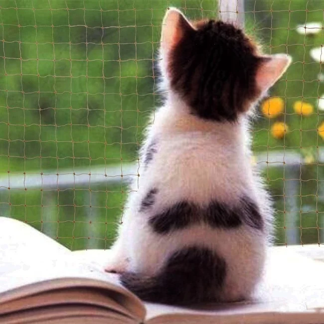 Heavy-duty protection beige nylon reinforced customizable balcony cat net