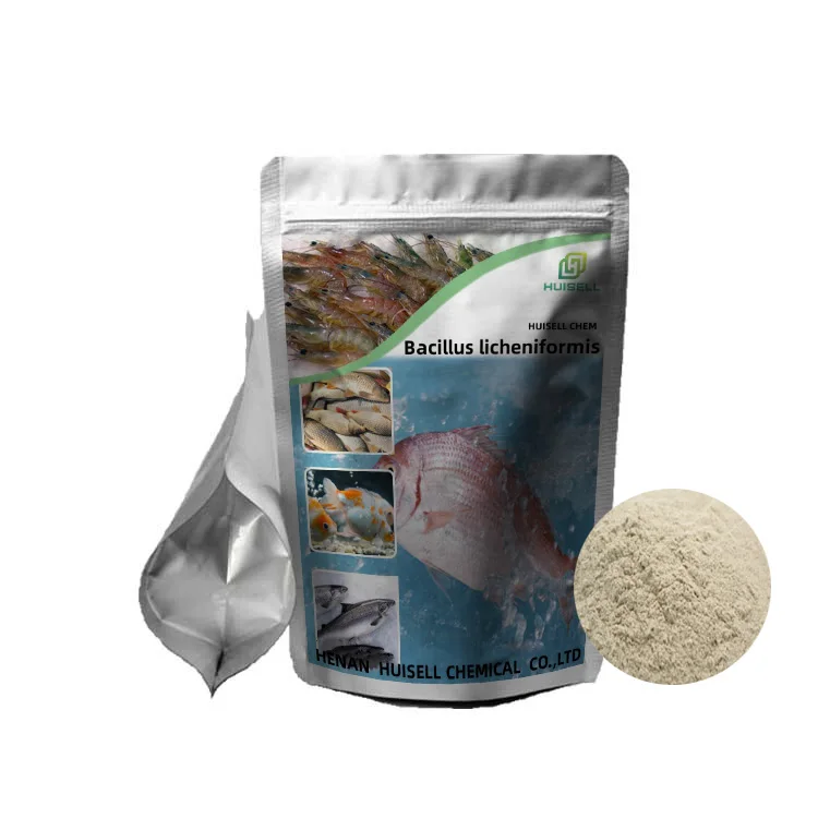 Wholesale High Quality Food Grade Probiotics Bacillus Licheniformis Powder