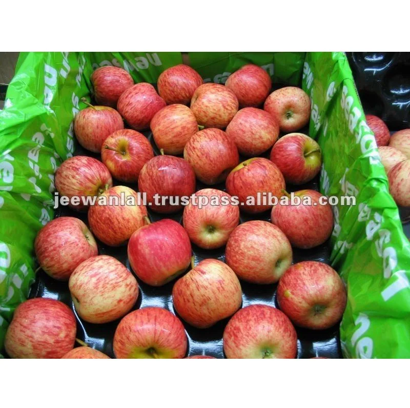 High Quality New Season Fresh Royal Gala Red Apples for sale
